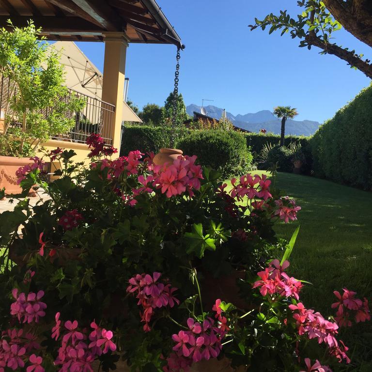 Relais Di Alice- Adults Only Forte dei Marmi Exterior foto